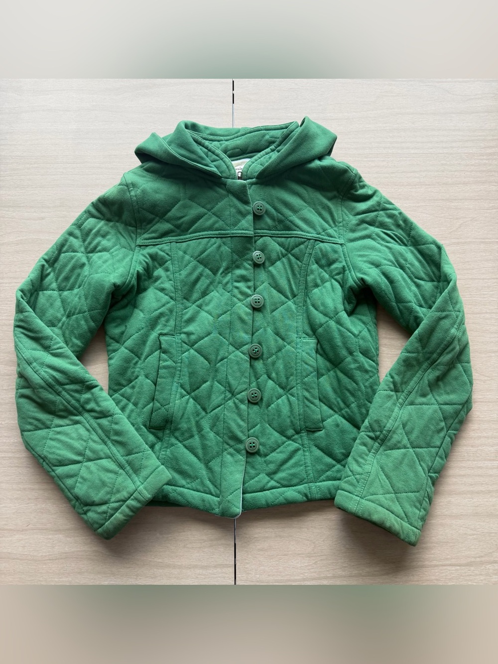 Anthropologie Allihop Green Quilted Hooded Utility Jacket XS